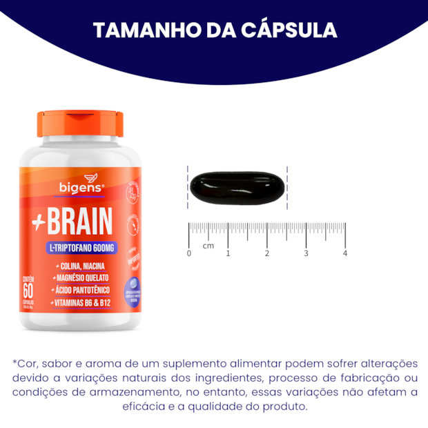 + Brain-15c6bf31-dd23-4062-802b-a21aac4e5dd5