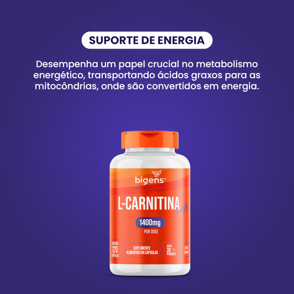 L- Carnitina-96084a8f-51e1-4c95-aae8-fb2f842a0d9d