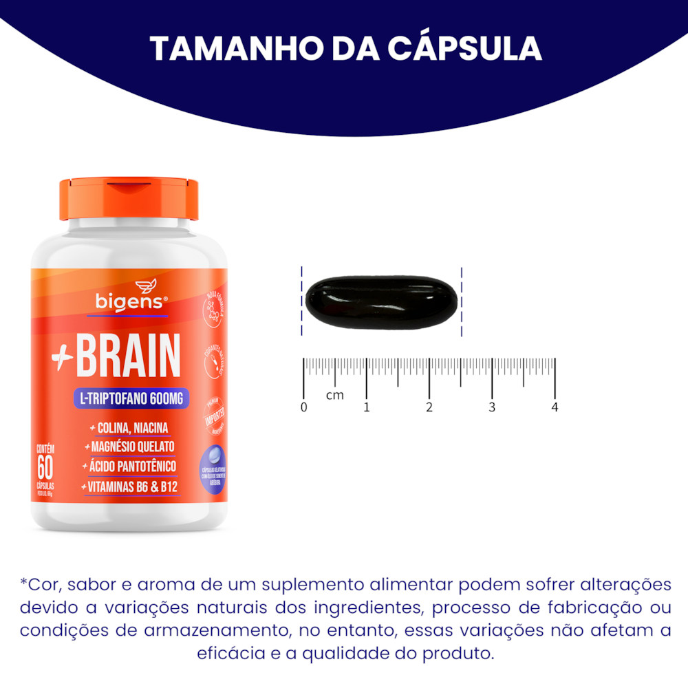 Plus Brain-9d0910c2-3726-4e81-9eb7-a28395f9fc8e