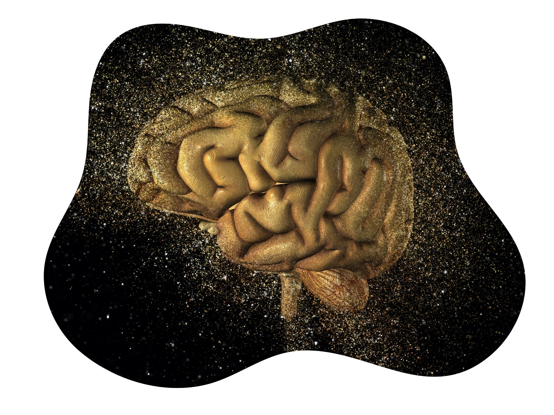Curcubrain