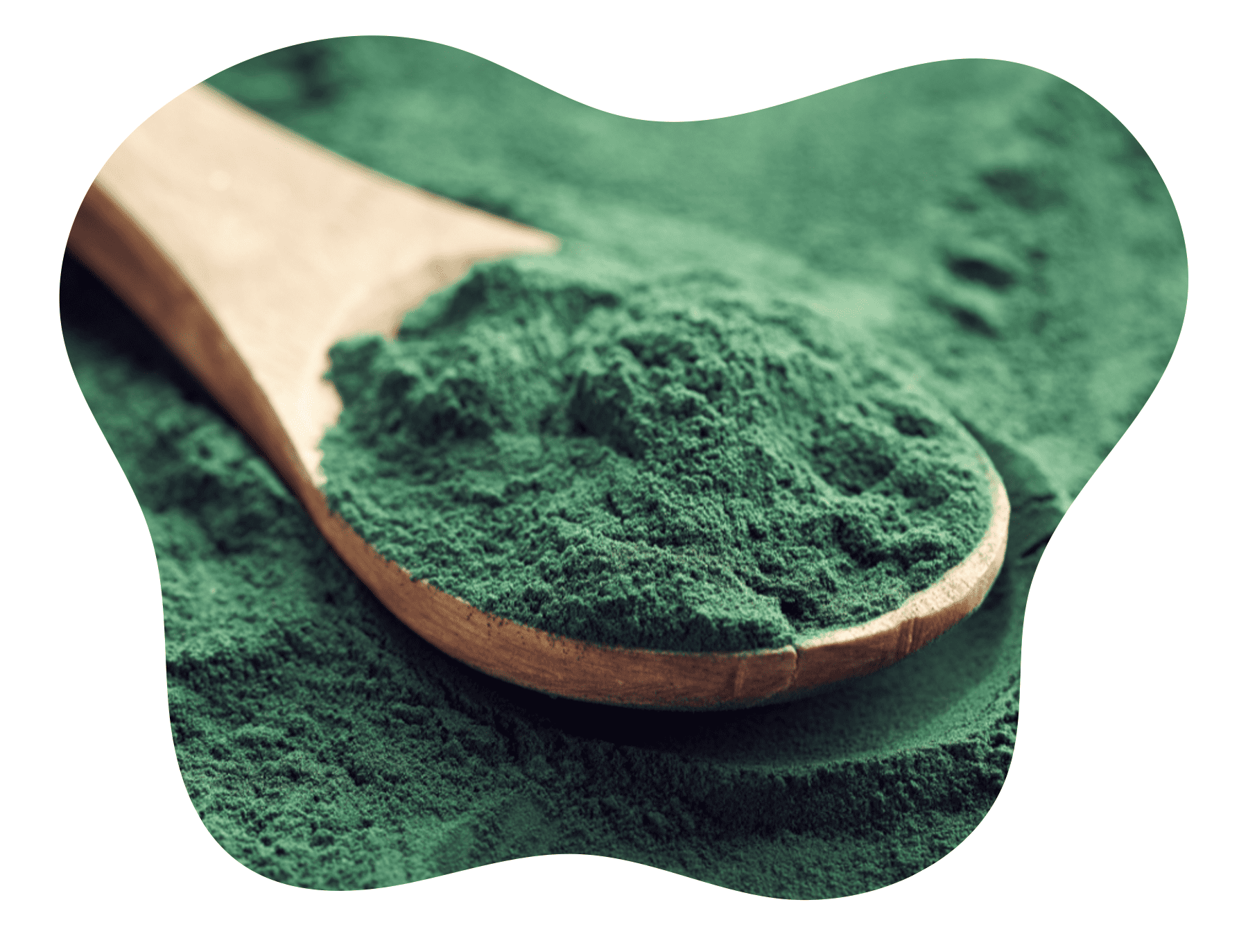 Content 2 - Chlorella