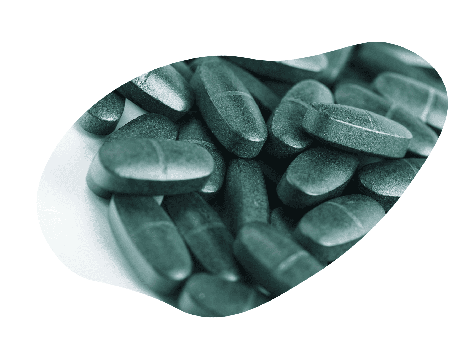 Chlorella